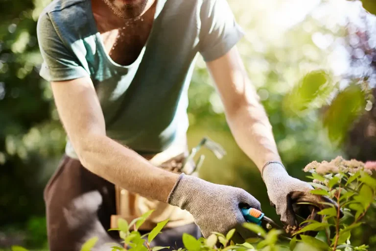 Jardinier à Mérignac, dans tout la métropole de Bordeaux et ses alentours, bon prix